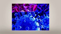 coronavirusupdate: covid19:   239  साइंटिस्ट्स ने विश्व स्वास्थ्य संगठन को खत लिखकर चेतावनी दी