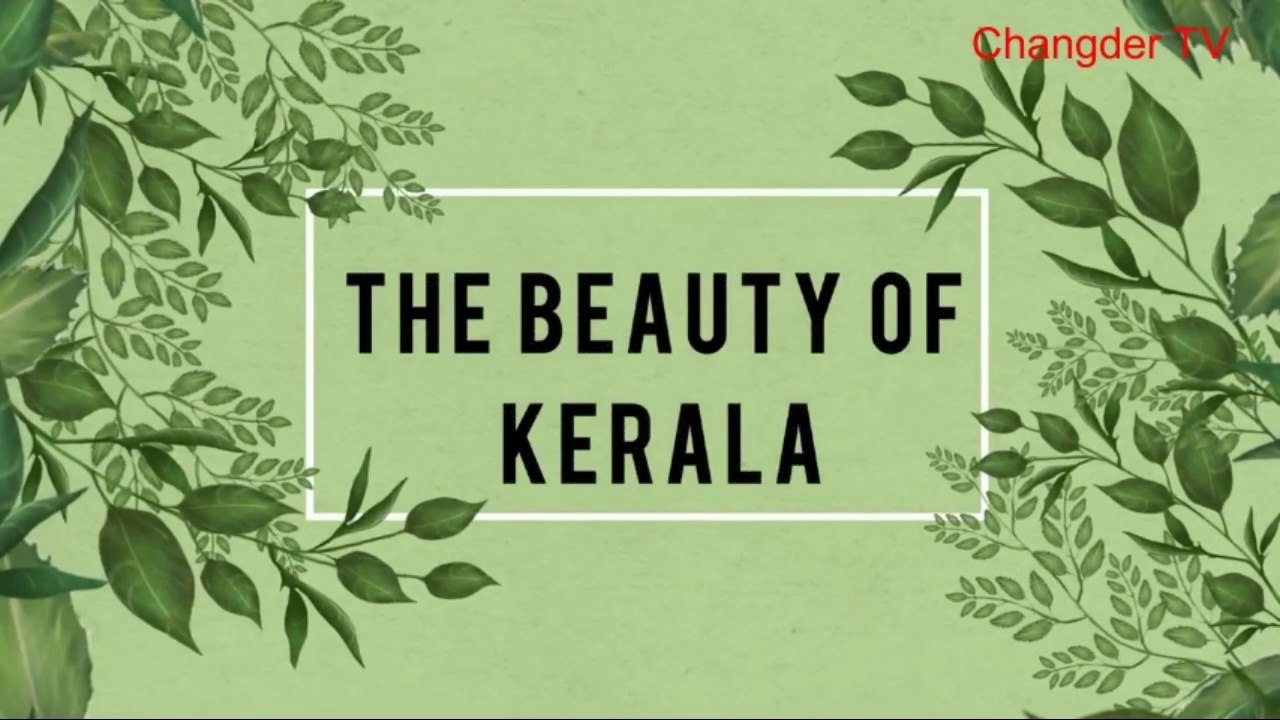 God's Own Country Kerala | The Beauty Of Kerala | The Beauty Of Nature | Beauty Of India | Kerala |