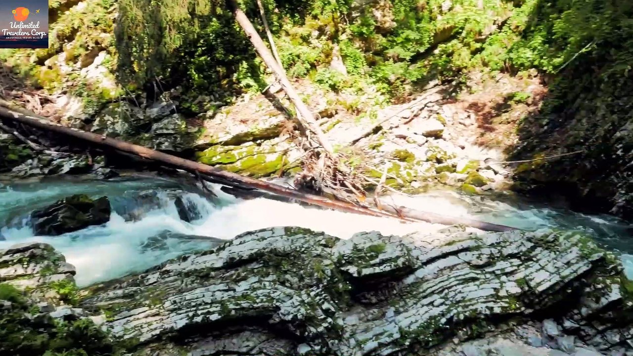 Slovenia | Lake Bled |Blejsko jezero | Bled Island | Pilgrimage Church of the Assumption of Maria