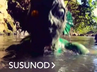 KMJS Episode 07/05/2020 Part 7 – Uncover Amazing Stories