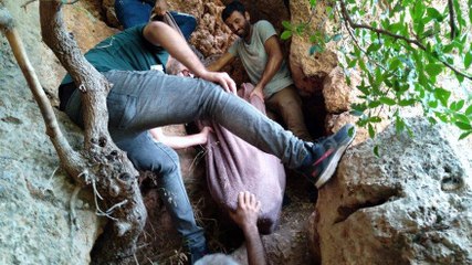 Çantadan çıktı! Battaniyeyle zor taşındı