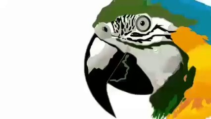 Life Motivation video zindgi ki kahani