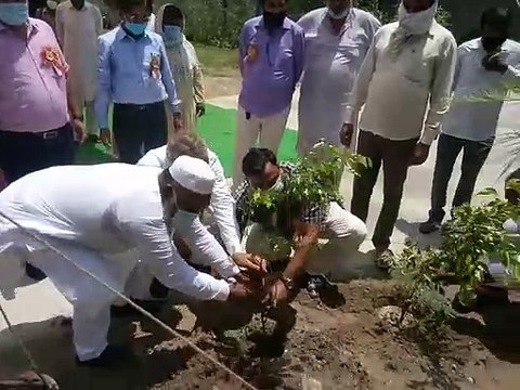प्रदूषण विभाग ने माजरी में किया पौधरोपण, 2.10 लाख पौधे लगाकर वृक्षारोपण