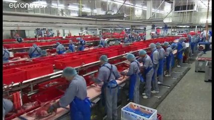 Három ausztriai vágóhíd tizenkét alkalmazottja lett koronavírus-fertőzött