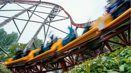 Woman Dies Falling From Roller Coaster