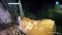 Meksika’daki Su Altı Mağaralarında 12 Bin Yıl Öncesinden Kalıntılar