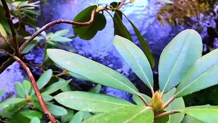 Beauty of Earth; NATURE