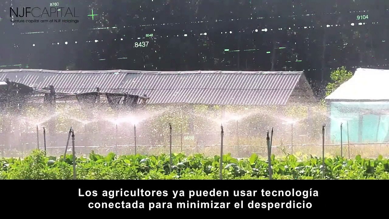¿Cómo se puede evitar que el 40% de los alimentos no se desperdicien?