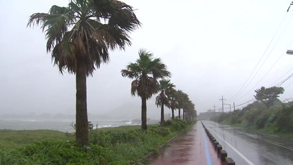 [날씨] 내륙 더위 속 소나기...제주·남해안 장맛비 / YTN