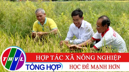 Nông nghiệp bền vững: Hợp tác xã nông nghiệp - Học để mạnh hơn