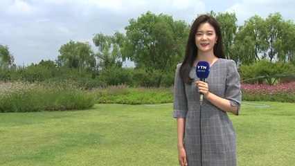 [날씨] 구름 많고 30℃ 무더위...제주도·남해안 장맛비 / YTN