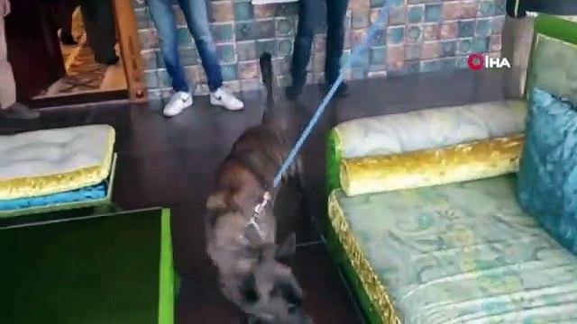 Küresel vaka sayısında rekor artış yaşanıyor. Açıklamayı Dünya Sağlık Örgütü yaptı. Dünya Sağlık Örgütü, corona virüs salgınının başından bu yana en yüksek günlük vaka sayısına ulaşıldığını açıkladı.