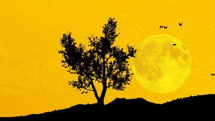 Kasey Chambers - Black Bess