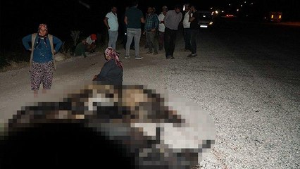 Otomobille sürüye daldı: 22 keçi öldü