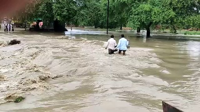 शाजापुर में पहली तेज बारिश से नाले आए उफ़ान पर