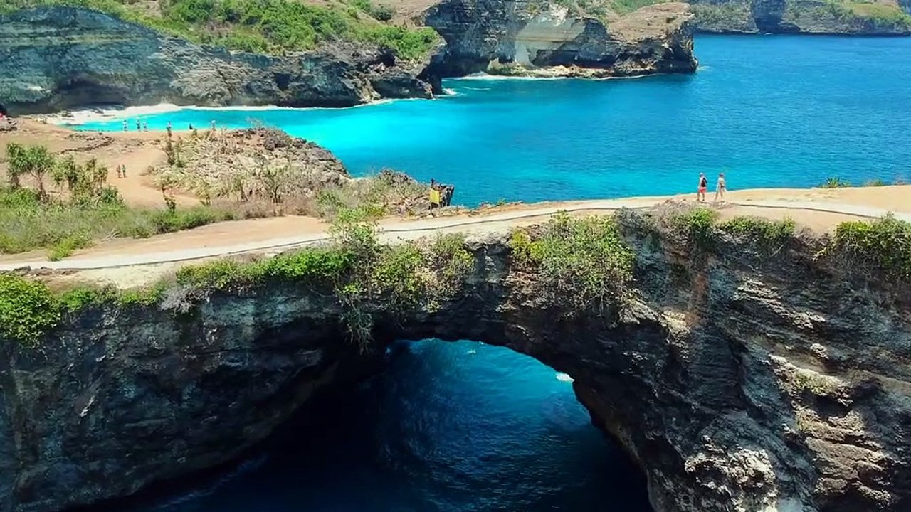 Relax with the calm sea and waves, cute birds, and relaxing music