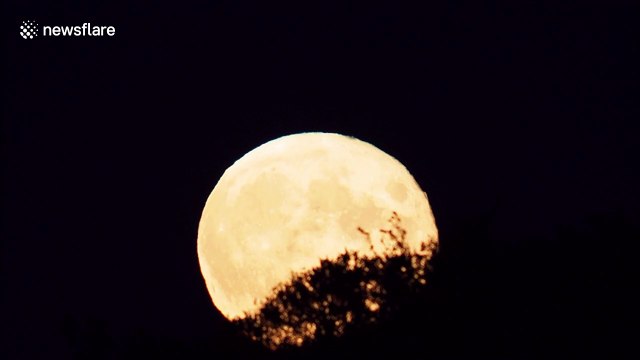 July's 'buck moon' seen rising above Minster on Sea, UK