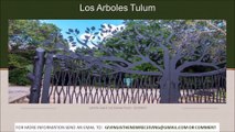 Los Arboles Tulúm, Quintana Roo, Mexico - 65K ( 20,000M2 ) Land For Sale