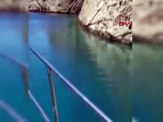 Tekneden caretta carettaları beslediler