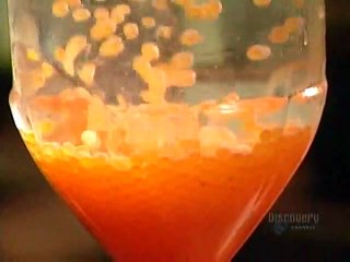 How Its Made - 091 Fish Farming