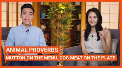 Animal Proverbs: Mutton On The Menu, Dog Meat On The Plate | Intermediate Lesson | ChinesePod (v)