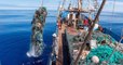 Pollution des océans : 103 tonnes de déchets plastiques ont été retirés du Pacifique grâce à un équipage hawaïen