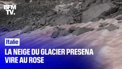 En Italie, la neige d'un glacier vire au rose à cause d'une algue