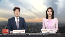 라임 투자사 리드 실소유주 김정수 회장 체포