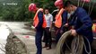 Chinese firefighters rescue piglets transported via motorcycle after they get trapped in flooded river