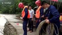 Chinese firefighters rescue piglets transported via motorcycle after they get trapped in flooded river