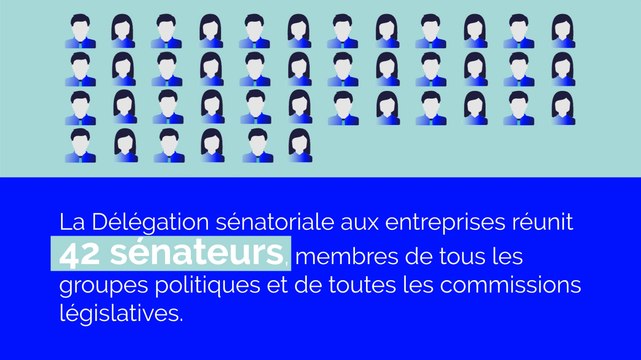 Présentation de la Délégation sénatoriale aux entreprises