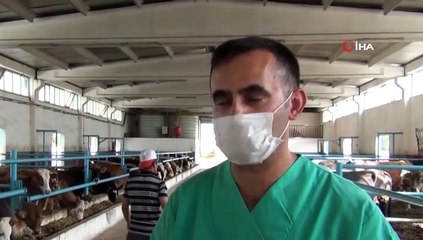 Tedavi için gittiği hayvan çiftliklerinden etkilendi; kendi çiftliğini kurdu