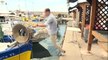 Filets fantômes : une entreprise toulousaine fait tester des balises aux pêcheurs du Var