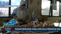 Pasokan Berkurang, Harga Daging Ayam Merangkak Naik