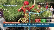 Wow! Aliran Banjir Rob Diubah Warga Jadi Lahan Kebun Sayur, Seperti Apa?