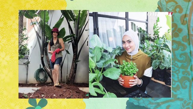 Seru! Deretan Selebriti Meramaikan Tren Bercocok Tanam