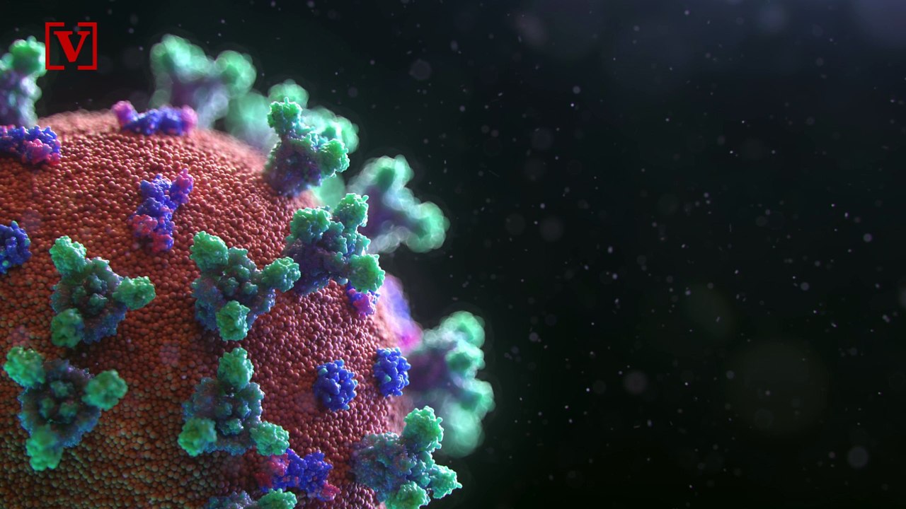 WHO Urged by Hundreds of Scientists to Rethink Risks of Airborne Transmission of COVID-19