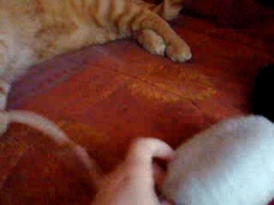 chats