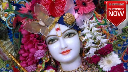 swaminarayan status || swaminarayan status 2020 || swaminarayan status for whatsapp || swaminarayan || swaminarayan kirtan ||