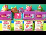 SURPRISE NUM NOMS Lights Mystery Packs and Num Noms Freezies Pops Series 2 by Funtoyscollector