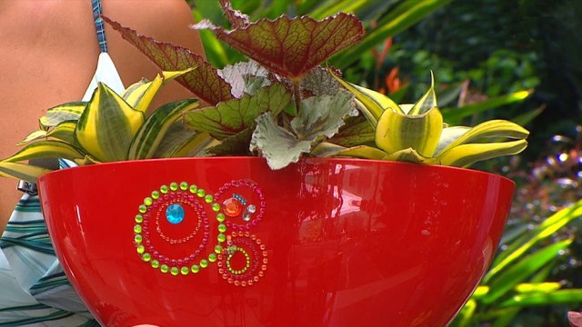 bd-decorar-macetas-durante-estas-vacaciones-060720