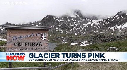 Download Video: Pink ice spotted in Alpine glacier fuels concerns over accelerated melting