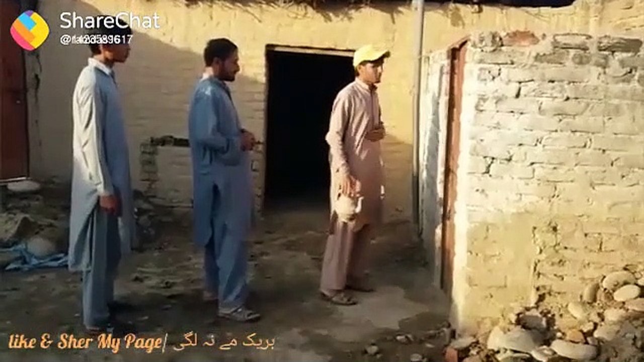 Must watch New Funny Videos 2020