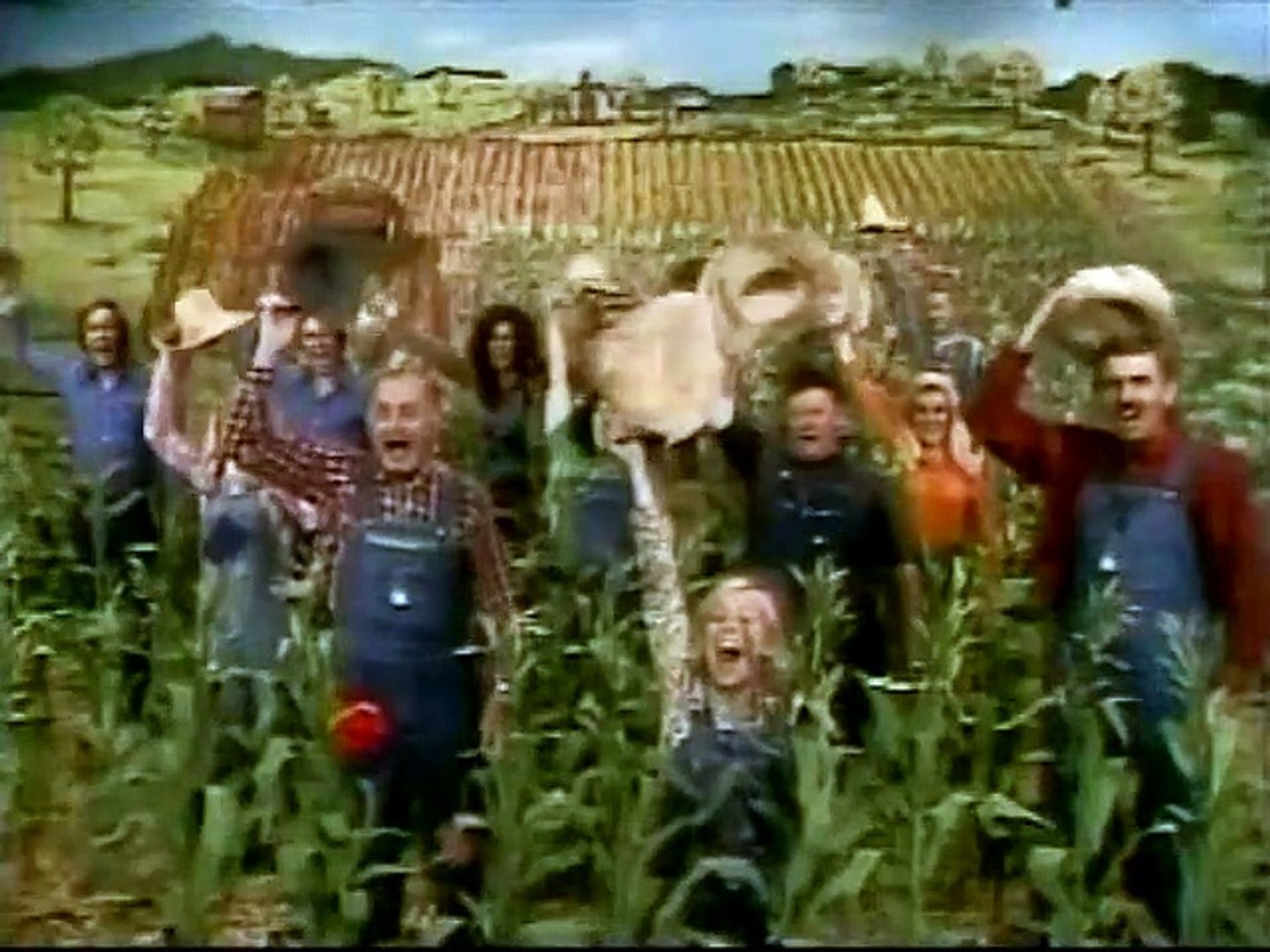 Hee Haw Cornfield