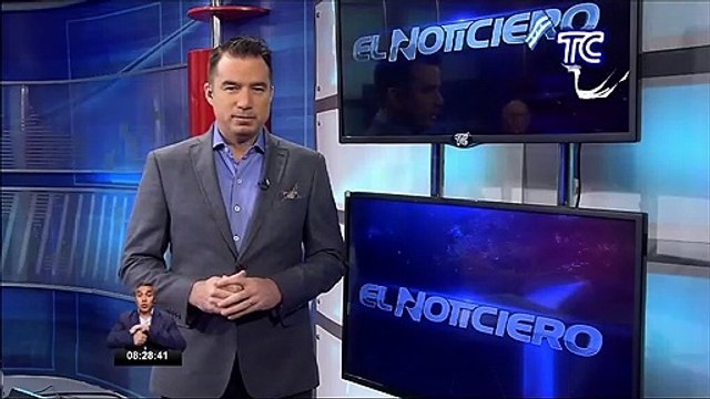 Crías de tortuga en peligro de extinción nacieron sin problemas