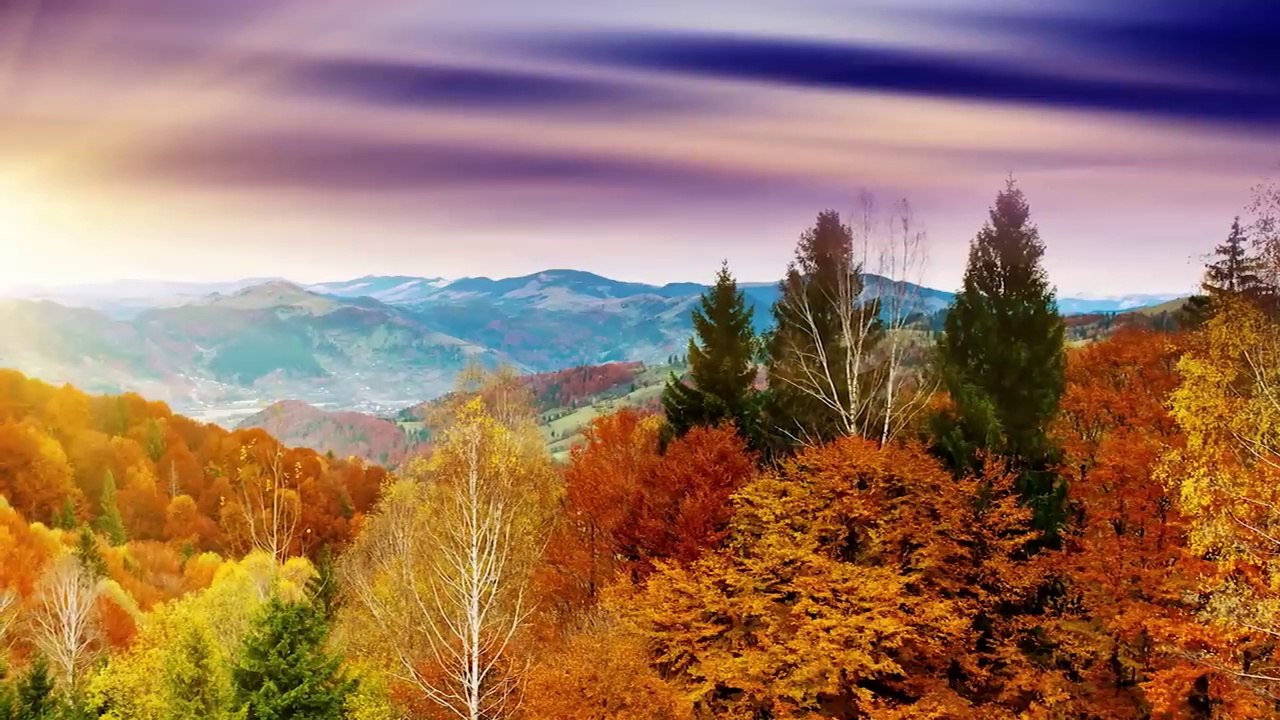 30 Minute Deep Sleep Music, Sleep Meditation, Calm Music, Relaxing Music, Fall Asleep, Relax, ☯3590B