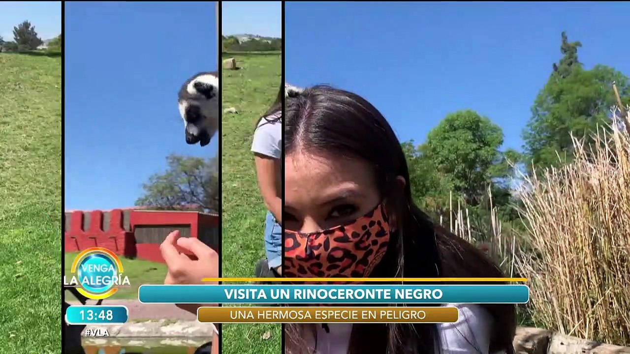 ¡Nos fuimos de safari con Olga Mariana! Tan cerca de CDMX. ¿Ya sabías del lugar? | Venga La Alegría