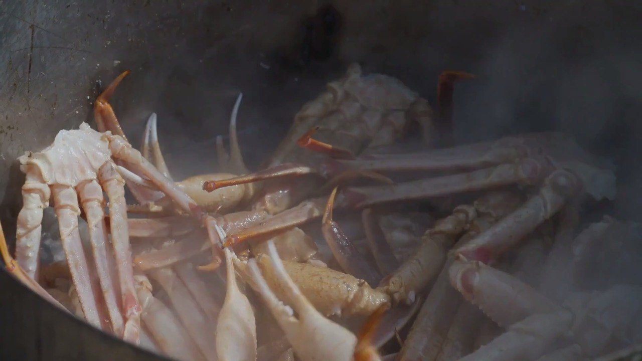 What’s the Difference Between Snow Crab and King Crab?