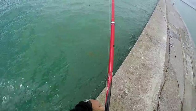 PECHE DES MAQUEREAUX à Boulogne sur mer le 29 juillet 2017