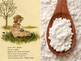 What the Heck Are Curds and Whey?